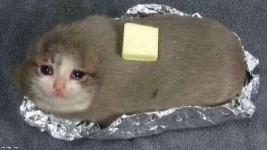 Sad Cat | image tagged in sad cat | made w/ Imgflip meme maker