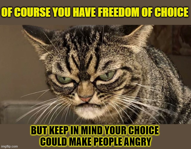 This #lolcat wants you to realise choices have consequences | OF COURSE YOU HAVE FREEDOM OF CHOICE; BUT KEEP IN MIND YOUR CHOICE 
COULD MAKE PEOPLE ANGRY | image tagged in lolcat,choices,consequences | made w/ Imgflip meme maker