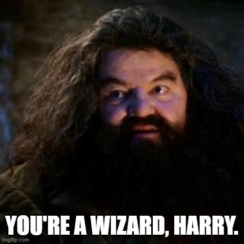 You're a wizard harry | YOU'RE A WIZARD, HARRY. | image tagged in you're a wizard harry | made w/ Imgflip meme maker