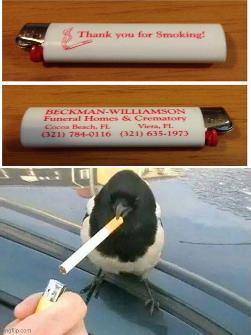 Smoking | image tagged in piebald crow smoking a cigarette,dark humor,smoking,funeral,memes,meme | made w/ Imgflip meme maker