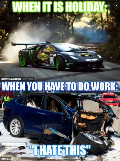 WHEN IT IS HOLIDAY:; WHEN YOU HAVE TO DO WORK:; "I HATE THIS" | image tagged in lambo,yay | made w/ Imgflip meme maker