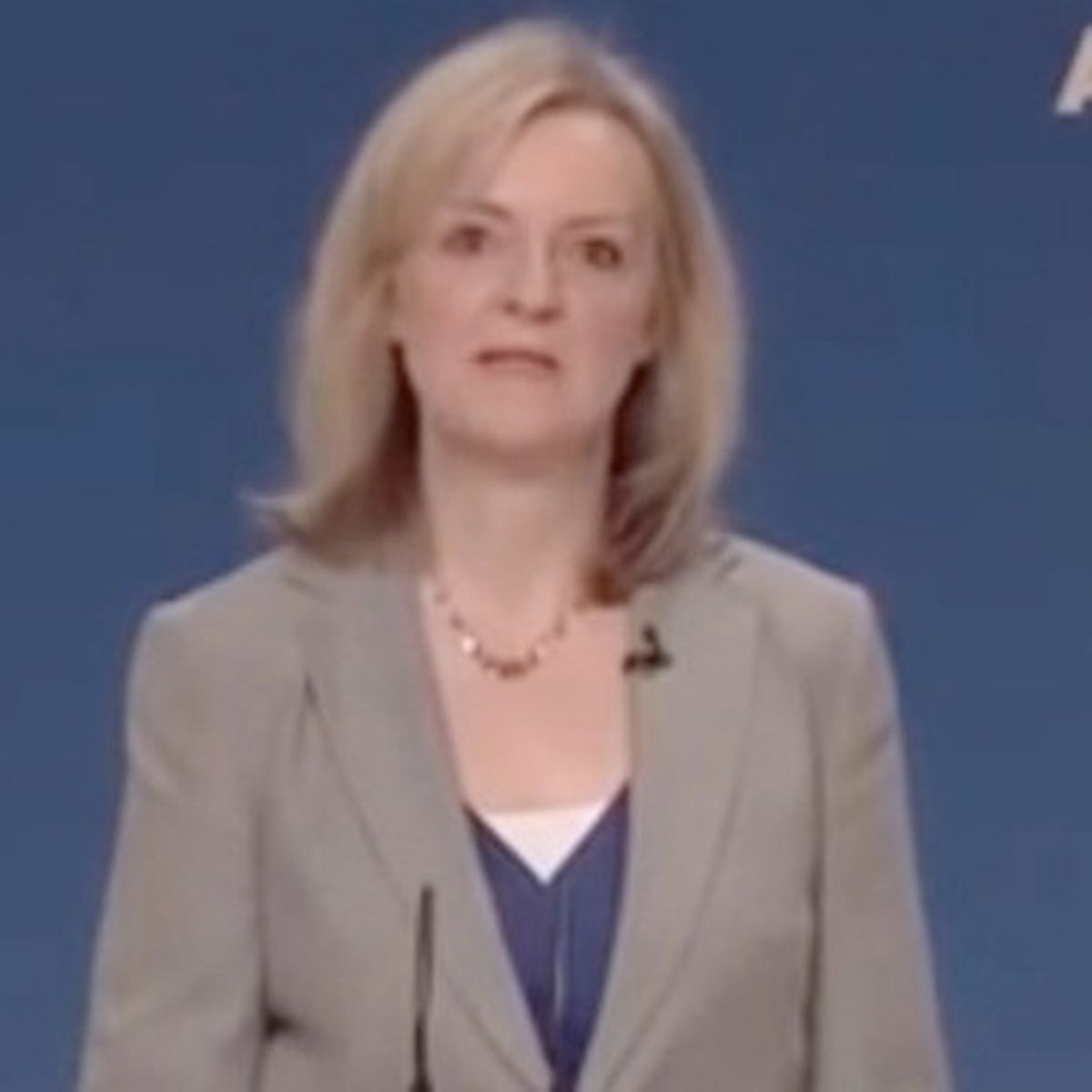 Liz Truss Cheese Blank Meme Template