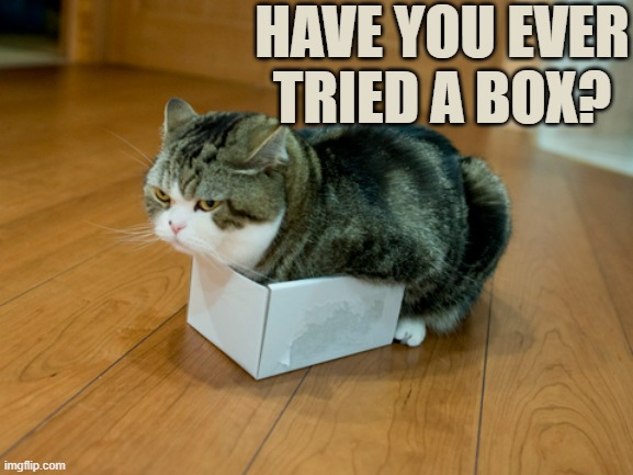 HAVE YOU EVER TRIED A BOX? | made w/ Imgflip meme maker