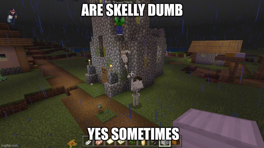 Minecraft life | ARE SKELLY DUMB; YES SOMETIMES | image tagged in minecraft | made w/ Imgflip meme maker
