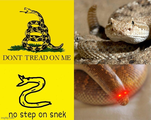 No step on snek | image tagged in snek,funny memes,memes,snake,snake puns | made w/ Imgflip meme maker