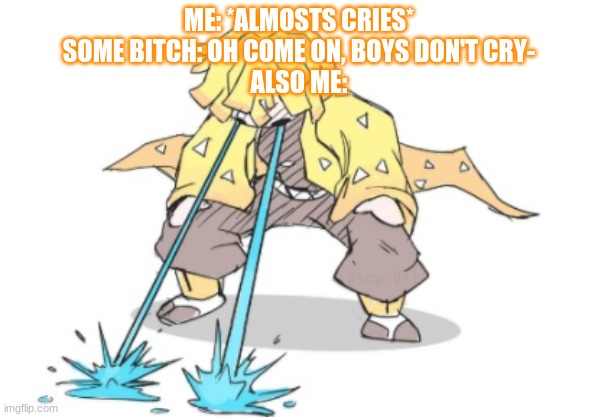 BOY-NESS BEGONE | ME: *ALMOSTS CRIES*
SOME BITCH: OH COME ON, BOYS DON'T CRY-
ALSO ME: | image tagged in wedjwca | made w/ Imgflip meme maker