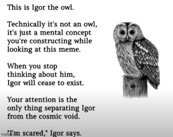 we need to save Igor! | image tagged in owl,think | made w/ Imgflip meme maker