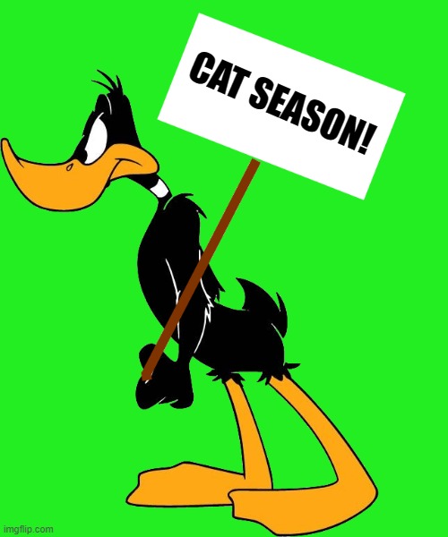 daffy with sign | CAT SEASON! | image tagged in daffy with sign | made w/ Imgflip meme maker