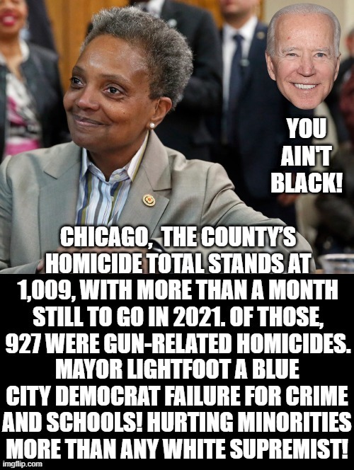 Democrats!!! failing blacks more than any white supremist!!! |  YOU AIN'T BLACK! | image tagged in stupid liberals,morons,idiots,sad joe biden,racists | made w/ Imgflip meme maker