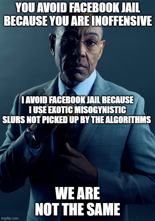 Gus Fring we are not the same |  YOU AVOID FACEBOOK JAIL BECAUSE YOU ARE INOFFENSIVE; I AVOID FACEBOOK JAIL BECAUSE I USE EXOTIC MISOGYNISTIC SLURS NOT PICKED UP BY THE ALGORITHMS; WE ARE NOT THE SAME | image tagged in gus fring we are not the same,misogyny,red pill,patriarchy | made w/ Imgflip meme maker