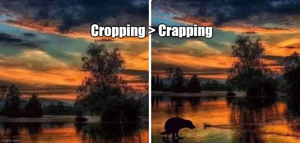 Crop trumps Crap | Cropping > Crapping | image tagged in funny | made w/ Imgflip meme maker