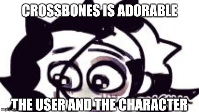 Me when | CROSSBONES IS ADORABLE; THE USER AND THE CHARACTER | image tagged in - | made w/ Imgflip meme maker