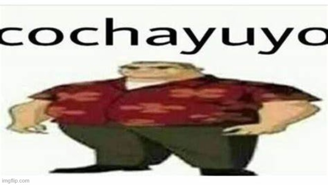 cochayuyo | made w/ Imgflip meme maker