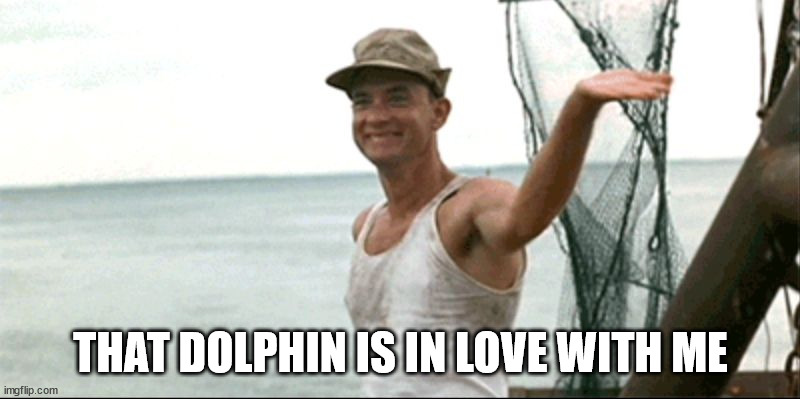 Forest Gump waving | THAT DOLPHIN IS IN LOVE WITH ME | image tagged in forest gump waving | made w/ Imgflip meme maker