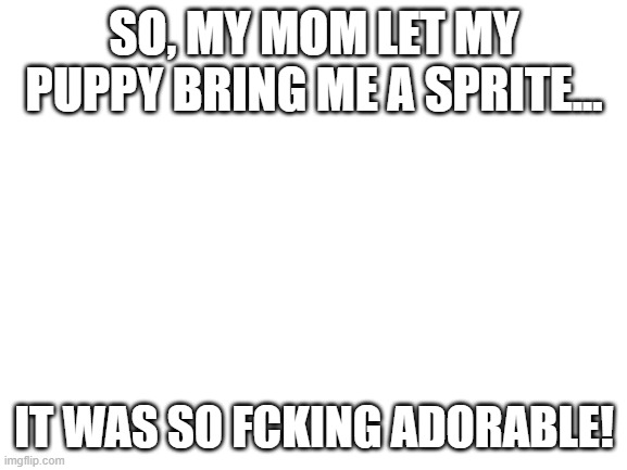 i know this isnt lgbtq+ but i felt like i had to share this | SO, MY MOM LET MY PUPPY BRING ME A SPRITE... IT WAS SO FCKING ADORABLE! | image tagged in blank white template | made w/ Imgflip meme maker