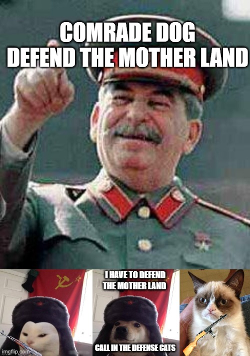 When The Soviets Rely On Animals | COMRADE DOG DEFEND THE MOTHER LAND; I HAVE TO DEFEND THE MOTHER LAND; CALL IN THE DEFENSE CATS | image tagged in stalin says,russian cat,russian doge,memes,grumpy cat | made w/ Imgflip meme maker