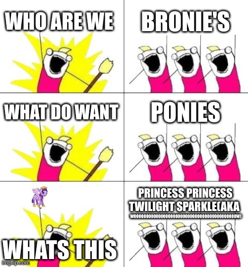 brony noun A male who likes my little ponie or me ? | WHO ARE WE; BRONIE'S; WHAT DO WANT; PONIES; PRINCESS PRINCESS TWILIGHT SPARKLE(AKA; WOOOOOOOOOOOOOOOOOOOOOOOOOOOOOOOOOOOOOOOOOOW); WHATS THIS | image tagged in memes,what do we want 3,my little pony friendship is magic | made w/ Imgflip meme maker