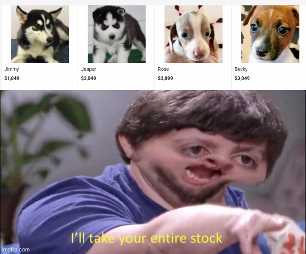 ill take your entire stock | image tagged in i'll take your entire stock,memes,dogs,for sale | made w/ Imgflip meme maker