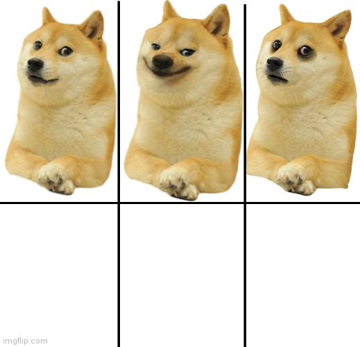 Doge happy sad Blank Meme Template