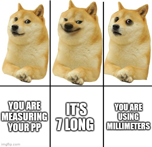 New template I made | YOU ARE MEASURING YOUR PP; IT'S 7 LONG; YOU ARE USING MILLIMETERS | image tagged in doge happy sad | made w/ Imgflip meme maker