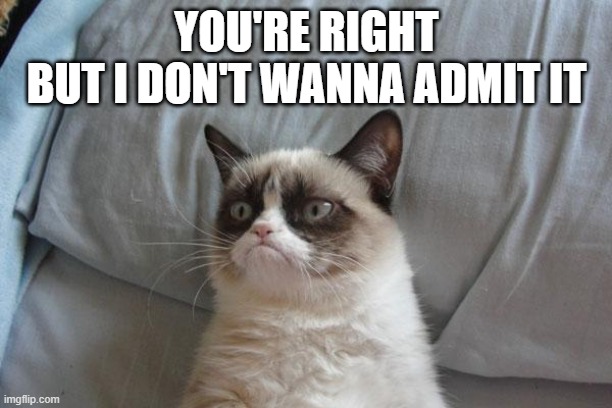 Grumpy Cat Bed Meme | YOU'RE RIGHT
BUT I DON'T WANNA ADMIT IT | image tagged in memes,grumpy cat bed,grumpy cat | made w/ Imgflip meme maker