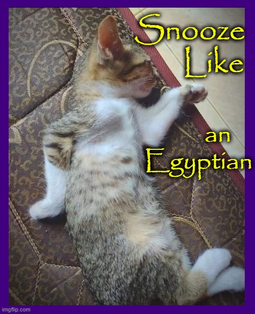 Bastet, Egyptian feline goddess was both nurturing & violent |  Snooze
       Like; an
Egyptian | image tagged in vince vance,cats,cat nap,walk like an egyptian,memes,i love cats | made w/ Imgflip meme maker