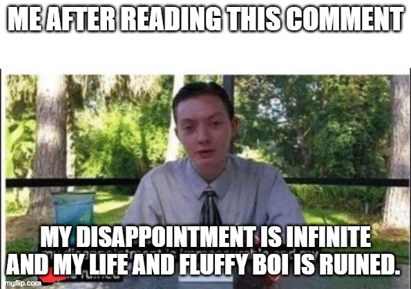 My dissapointment is immeasurable and my day is ruined | ME AFTER READING THIS COMMENT MY DISAPPOINTMENT IS INFINITE AND MY LIFE AND FLUFFY BOI IS RUINED. | image tagged in my dissapointment is immeasurable and my day is ruined | made w/ Imgflip meme maker