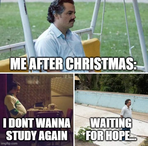 sad | ME AFTER CHRISTMAS:; I DONT WANNA STUDY AGAIN; WAITING FOR HOPE... | image tagged in memes,sad pablo escobar,christmas,hope | made w/ Imgflip meme maker