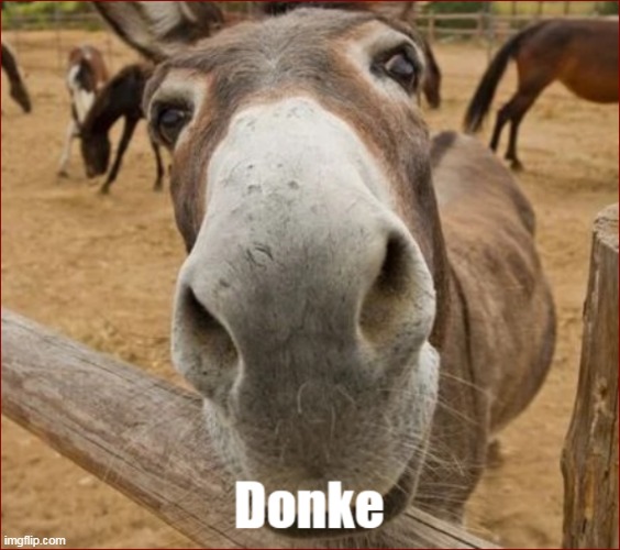 donke | image tagged in donke | made w/ Imgflip meme maker