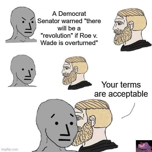 Be careful what you ask for. | A Democrat Senator warned "there will be a "revolution" if Roe v. Wade is overturned"; Your terms are acceptable | image tagged in chad approaching npc | made w/ Imgflip meme maker