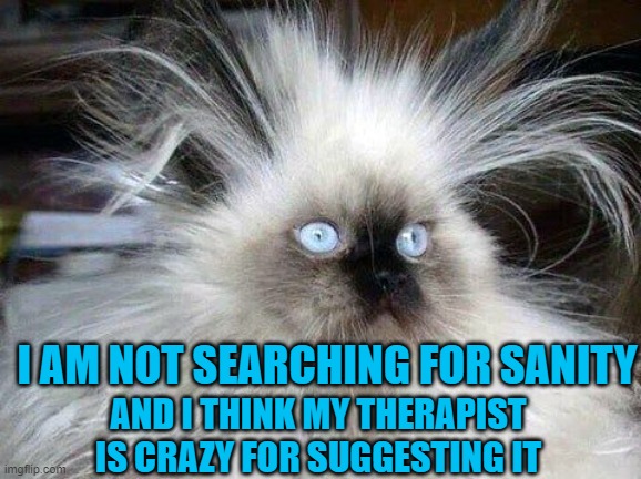 The Search is Over Folks I Found My Cat | I AM NOT SEARCHING FOR SANITY; AND I THINK MY THERAPIST IS CRAZY FOR SUGGESTING IT | image tagged in crazy hair cat,memes,funny,funny memes | made w/ Imgflip meme maker