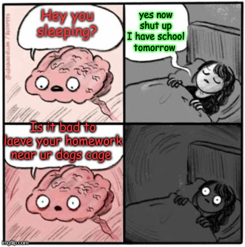 Brain Before Sleep | yes now shut up I have school tomorrow; Hey you sleeping? Is it bad to leave your homework near ur dogs cage | image tagged in brain before sleep | made w/ Imgflip meme maker