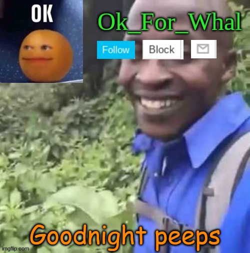 Goodnight doods | Goodnight peeps | image tagged in ok_for_what temp | made w/ Imgflip meme maker