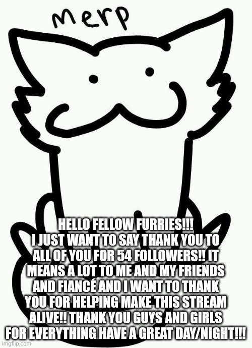 Thank you all so much!! | HELLO FELLOW FURRIES!!! I JUST WANT TO SAY THANK YOU TO ALL OF YOU FOR 54 FOLLOWERS!! IT MEANS A LOT TO ME AND MY FRIENDS AND FIANCÉ AND I WANT TO THANK YOU FOR HELPING MAKE THIS STREAM ALIVE!! THANK YOU GUYS AND GIRLS FOR EVERYTHING HAVE A GREAT DAY/NIGHT!!! | image tagged in merp | made w/ Imgflip meme maker