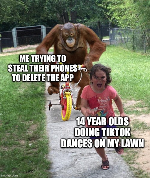 Bah Humbug | ME TRYING TO STEAL THEIR PHONES TO DELETE THE APP; 14 YEAR OLDS DOING TIKTOK DANCES ON MY LAWN | image tagged in orangutan chasing girl on a tricycle | made w/ Imgflip meme maker