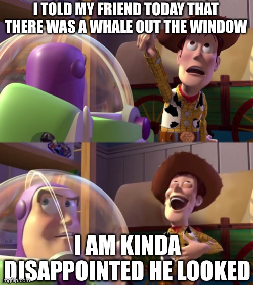 Why tho | I TOLD MY FRIEND TODAY THAT THERE WAS A WHALE OUT THE WINDOW; I AM KINDA DISAPPOINTED HE LOOKED | image tagged in toy story funny scene,look | made w/ Imgflip meme maker