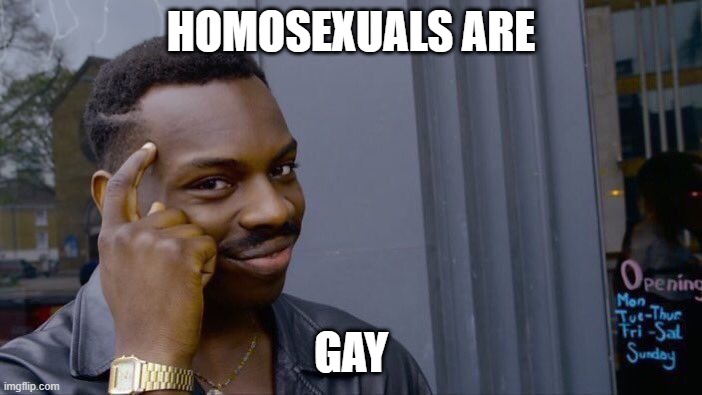 Why are you booing me? I'm right | HOMOSEXUALS ARE; GAY | image tagged in memes,roll safe think about it | made w/ Imgflip meme maker