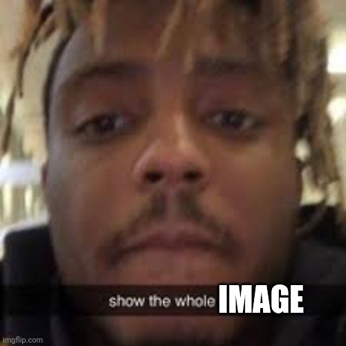 IMAGE | image tagged in show the whole titty | made w/ Imgflip meme maker