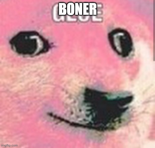 Glue | BONER | image tagged in glue | made w/ Imgflip meme maker