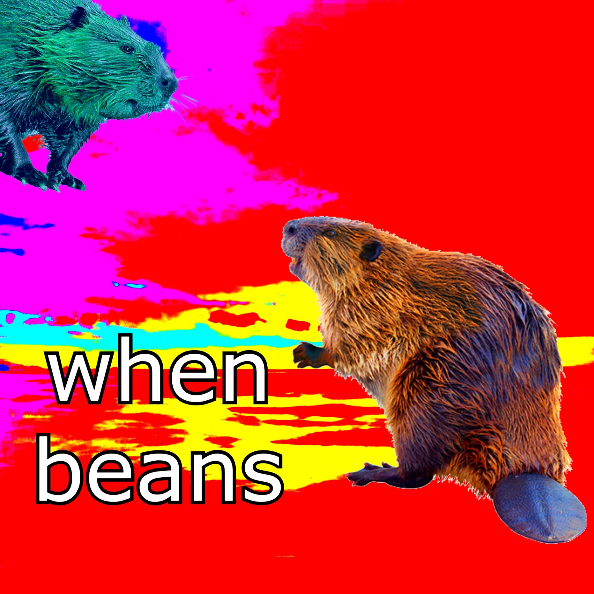 when beans Blank Meme Template