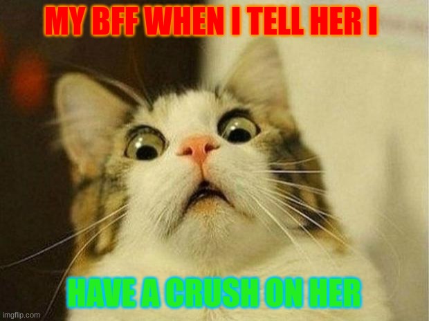 Scared Cat | MY BFF WHEN I TELL HER I; HAVE A CRUSH ON HER | image tagged in memes,scared cat | made w/ Imgflip meme maker