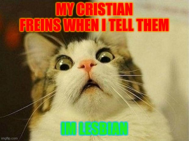 dont take this as offensive plz | MY CRISTIAN FREINS WHEN I TELL THEM; IM LESBIAN | image tagged in memes,scared cat | made w/ Imgflip meme maker