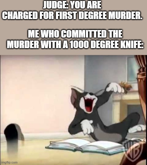 Laughable | JUDGE: YOU ARE CHARGED FOR FIRST DEGREE MURDER. ME WHO COMMITTED THE MURDER WITH A 1000 DEGREE KNIFE: | image tagged in laughing tom | made w/ Imgflip meme maker