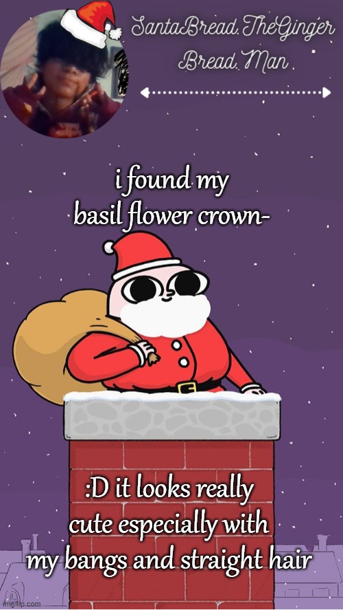It was from my old basil cosplay- | i found my basil flower crown-; :D it looks really cute especially with my bangs and straight hair | image tagged in breads face christmas temp | made w/ Imgflip meme maker