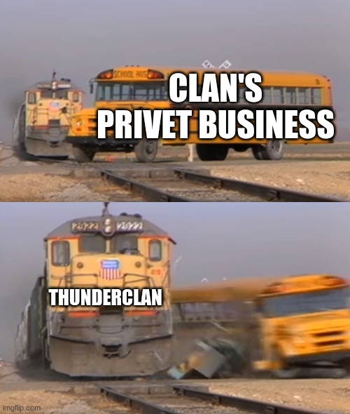 No Privacy | CLAN'S PRIVET BUSINESS; THUNDERCLAN | image tagged in a train hitting a school bus | made w/ Imgflip meme maker