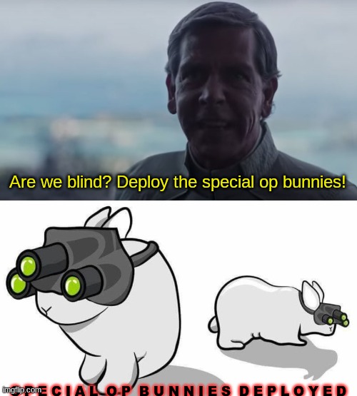 deploy the special op bunnies | image tagged in memes,are we blind,bunnies | made w/ Imgflip meme maker
