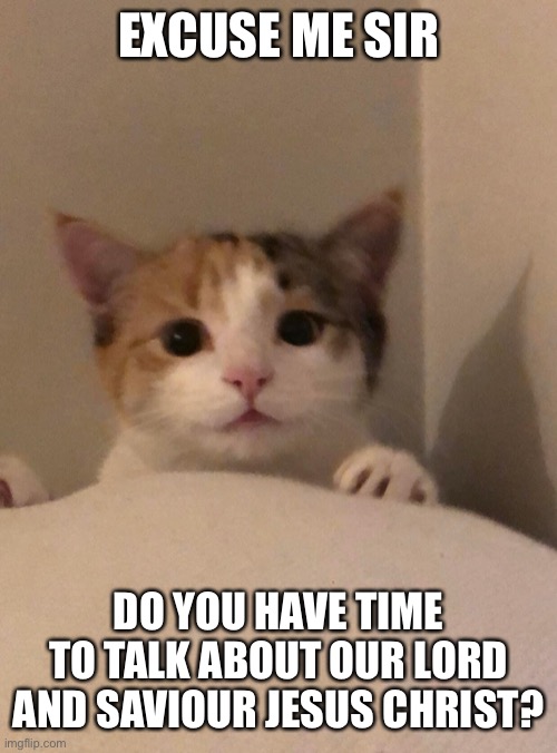 Excuse me | EXCUSE ME SIR; DO YOU HAVE TIME TO TALK ABOUT OUR LORD AND SAVIOUR JESUS CHRIST? | image tagged in kitten | made w/ Imgflip meme maker