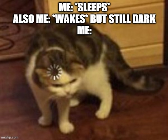 it happen to me | ME: *SLEEPS*
ALSO ME: *WAKES* BUT STILL DARK
ME: | image tagged in loading cat | made w/ Imgflip meme maker