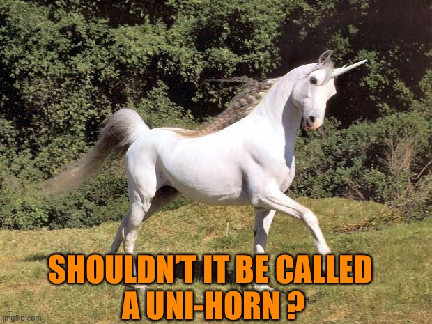 Unicorns | SHOULDN’T IT BE CALLED 
A UNI-HORN ? | image tagged in unicorns | made w/ Imgflip meme maker