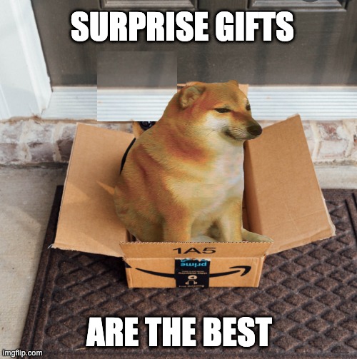 Cheems likes surprises, especially if they are good to sit on. Or eat. Or both. | SURPRISE GIFTS; ARE THE BEST | image tagged in package dog,cheems,gifts,holidays | made w/ Imgflip meme maker